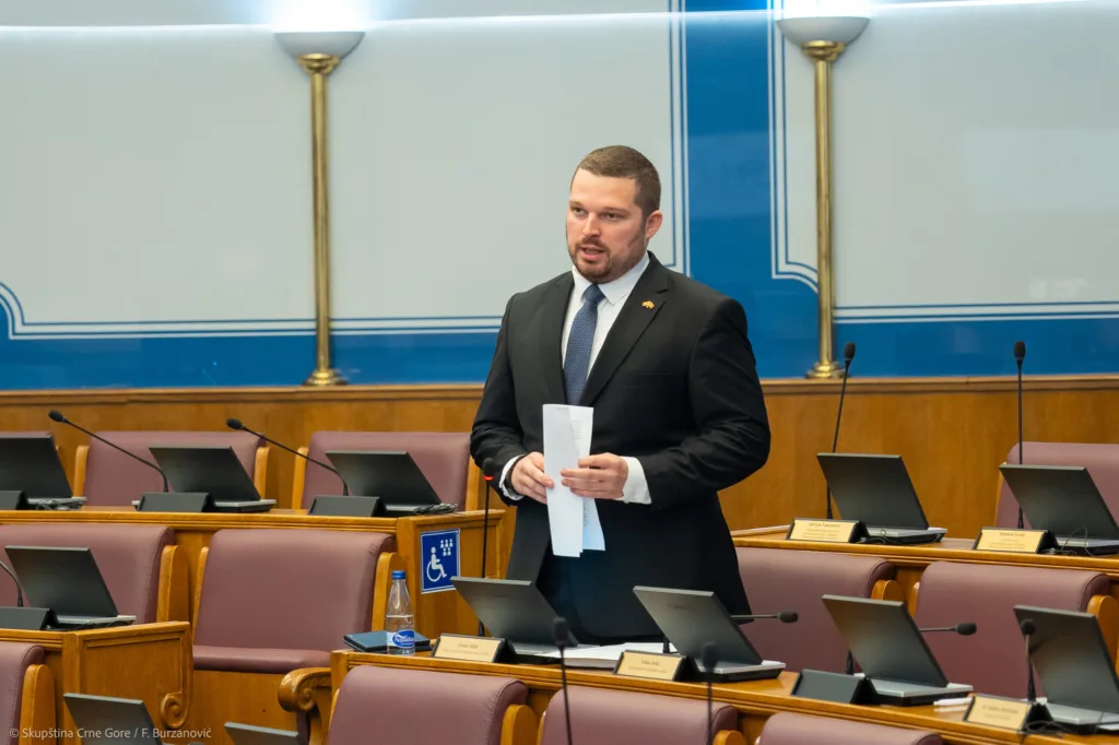 Mikić: Država mora omogućiti osobama sa invaliditetom potpuno ostvarivanje njihovih prava i veću zastupljenost u političkim procesima