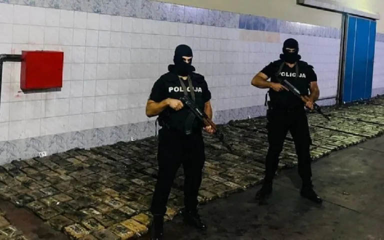 Najveći broj OKG ima preko 30 članova