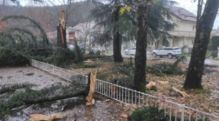 Nikšić: Grom udario u dvorište škole, oštećen krov