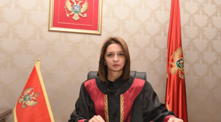 Armenko: Visok stepen poštovanja odluka Ustavnog suda od strane redovnih sudova