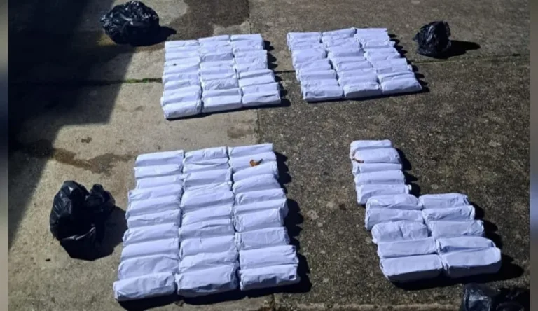Granična policija zaplijenila preko 300 kg rezanog duvana, uhapšen Tuzanin