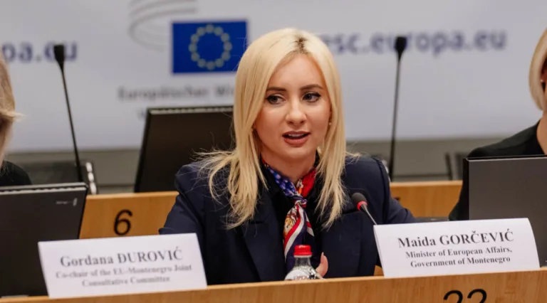 Gorčević: Crna Gora očekuje da na Međuvladinoj konferenciji u Briselu 17. marta zatvori Poglavlje 21