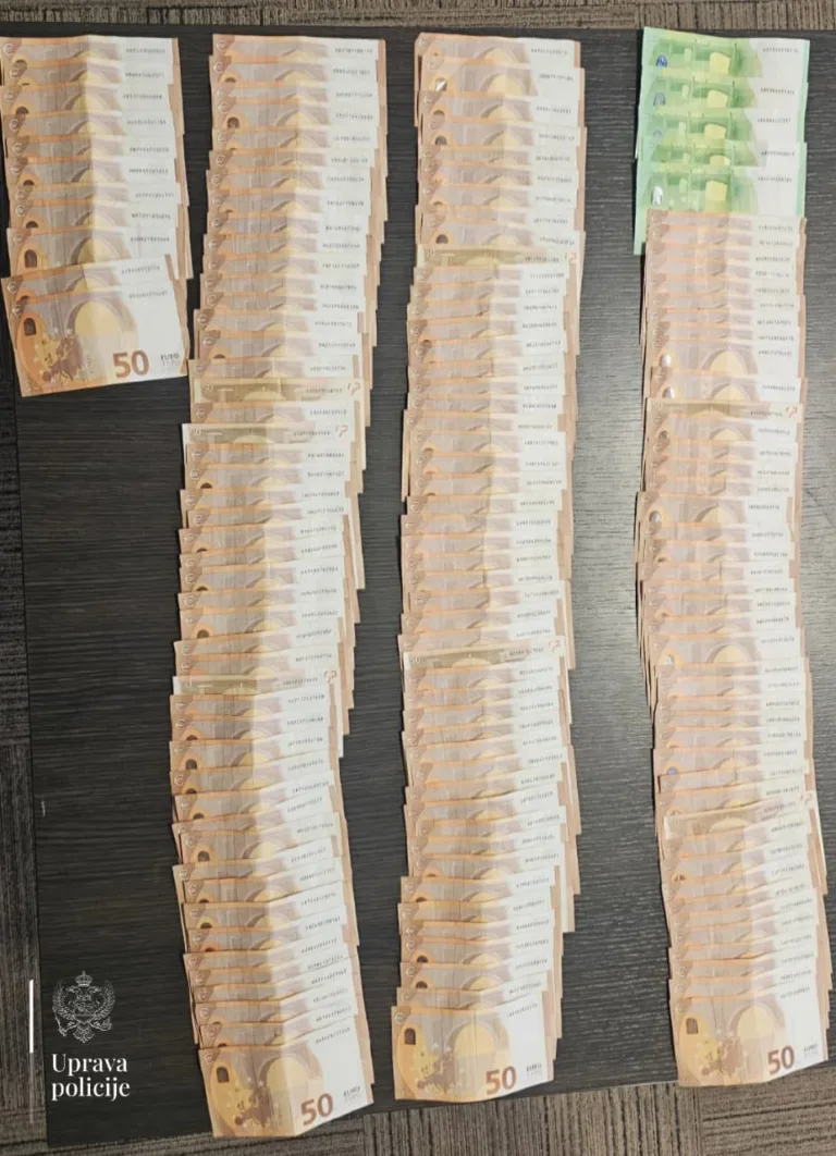 Uhapšeni državljani Srbije i Sjeverne Makedonije, pronađeno 8.000 eura, falsifikovana dokumenta i marihuana