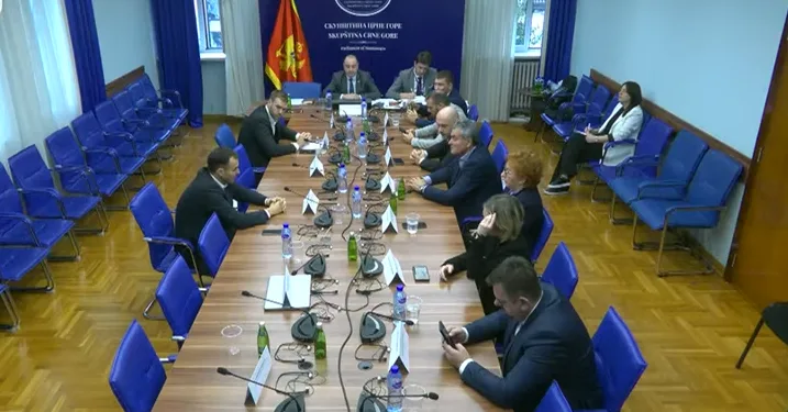 Odbor predložio da se u Savjet CBCG imenuju Backović, Milić, Orahovac i Hadžić