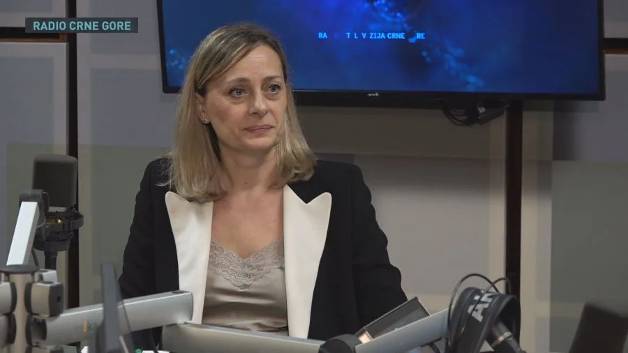 Svjedočenje tužiteljke Jovićević: Ponovo bih odbacila prijavu protiv Lazovića, na mene niko nije uticao