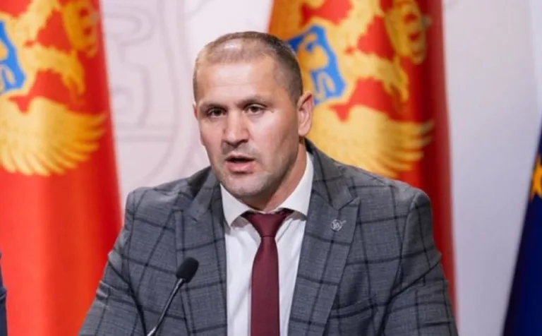 Šćepanović: Zbog napada i paljenja imovine turskih državljana procesuirano 17 osoba, državljanin Azerbejdžana za pojasom imao nož