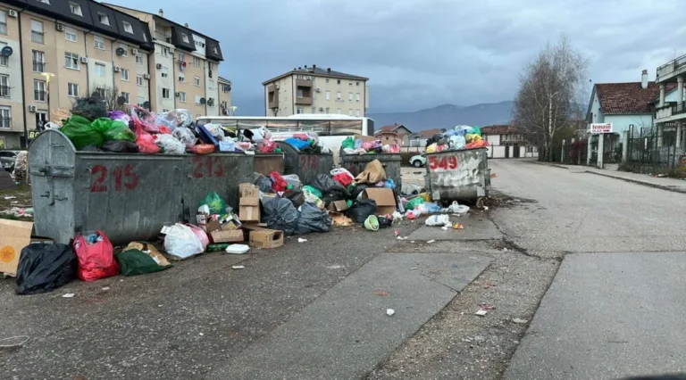 DPS: Nikšić grca u smeću, dok se rukovodstvo fotografiše
