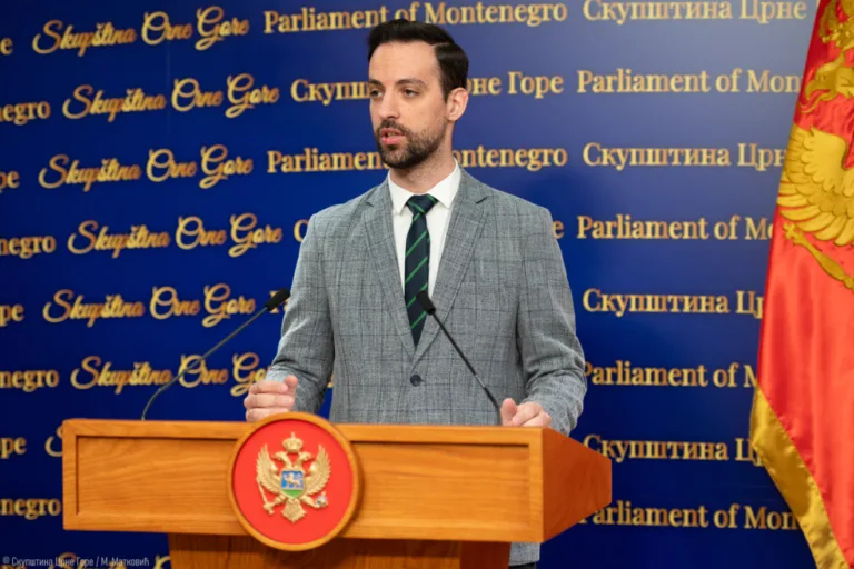 Tivćanin novčano kažnjen zbog vrijeđanja Zirojevića na Fejsbuku