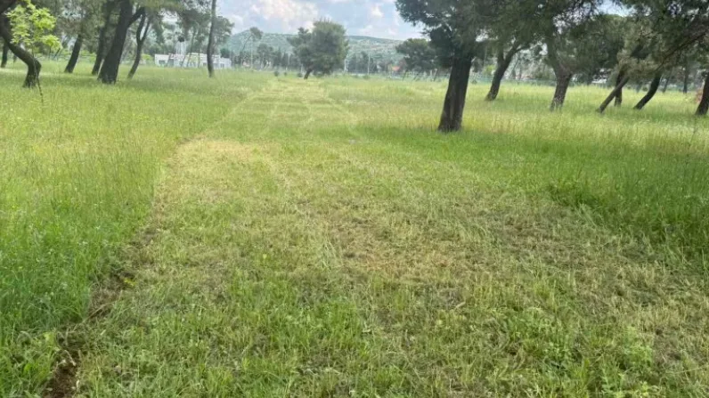 Podgorica: Park šuma Zlatica biće podijeljena u tri zone, sportsko-rekreativnu, kulturnu i mirnu