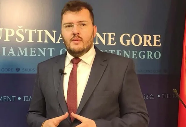 Koprivica: Vlada imala pravo da raskine ugovor za projekat vjetroelektrane Možura, izgubljeno 1,5 miliona eura
